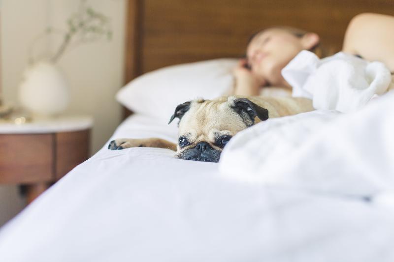 Sonesta Simply Suites Somerset Dış mekan fotoğraf